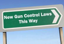 Democrats Demand Further Gun Control Legislation Despite Recent Gains