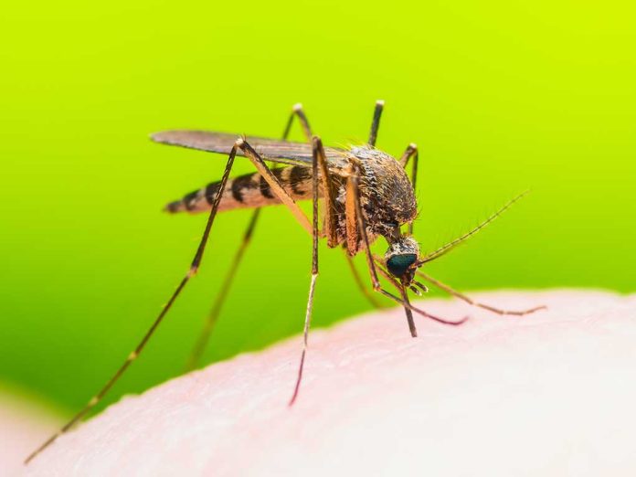 West Nile Virus Spotted In New York City