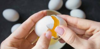 Eggs Are Being Smuggled Into the US, and the Government Is Cracking Down