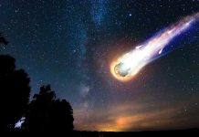 Massive “City Killer” Asteroid Narrowly Avoids Earth