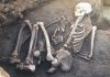 Authorities Launch Investigation After Mystery Skeleton Found