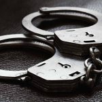 Hollywood Actor Michael Madsen Arrested for Domestic Violence Following Dispute with Wife