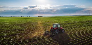 Tractor plowing a vast green field at sunset
