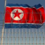 Barbed wire fence with North Korean flag behind.