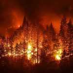 Oregon FIRE EXPLOSION Traps Thousands Forest engulfed in intense wildfire at night.