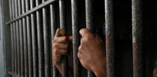 Hands gripping prison cell bars tightly.