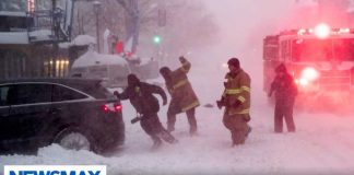 Travel expert reveals must-have items for your vehicle during