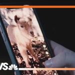 Social media giants head to trial over addiction claims