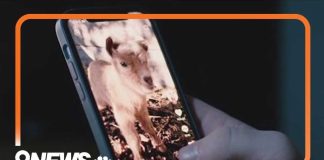 Social media giants head to trial over addiction claims