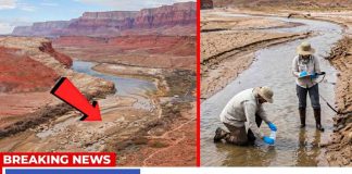 Scientists JUST REVEALED that Colorado River Will Collapse