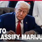 TRUMP UNLEASHES Seismic Marijuana Reclassification — Billions Unlocked U.S. set to reclassify marijuana