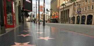 Reality Star Turns Sidewalks Into Political Billboards Hollywood Walk of Fame stars on sidewalk.