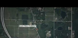 Baby found dead in porta-potty at Electric Forest