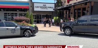 Mall Chaos Sparks Trust Meltdown Two gunshot victims reported after shots fired at Haywood Mall, officers report