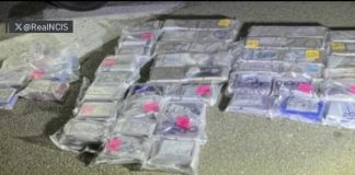 Military Base Breach Panic: Drugs, Chaos, Questions 2 arrested after breach on Camp Pendleton military base, NCIS says | NBC 7 San Diego