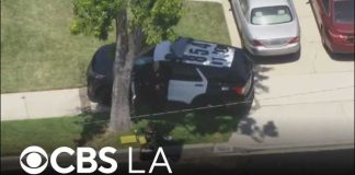 Hollywood Murder, But Who Controls The Story? Actor James Handy identified as victim in deadly Tarzana stabbing
