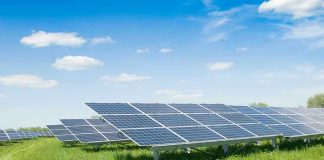 Clean Energy Gut-Punch Stuns Industry Solar panels in a grassy field under blue sky.