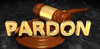 Pardon Pipeline Exposed — Billions Vanish Gavel behind gold Pardon text on dark background.