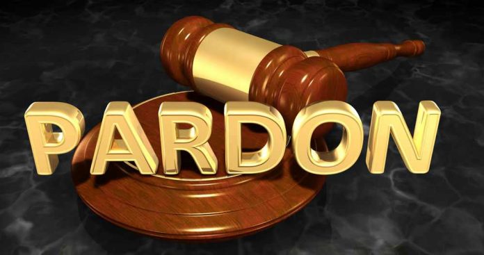 gavel-behind-gold-pardon-text-on-dark-background Gavel behind gold Pardon text on dark background.