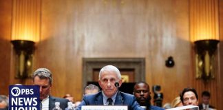 Fifth Amendment Frenzy Shocks Senate Fauci invokes 5th Amendment right during GOP-led hearing on COVID origins