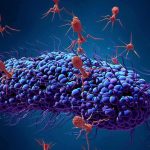 Personalized Vaccine Stuns: Cancer Slashed Bacteriophage viruses attacking a bacterium