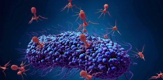 Personalized Vaccine Stuns: Cancer Slashed Bacteriophage viruses attacking a bacterium
