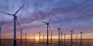 Trump Pays Billions To Kill Offshore Wind Offshore wind turbines at sunset over calm sea