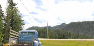 Old blue pickup truck parked by a rural dirt road