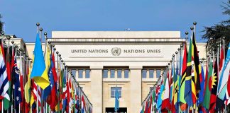 UN Showdown: Trump Defies Global Control United Nations building with numerous national flags outside.