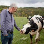 Meat Monopoly Shaken—Ranchers Get a Lifeline Man petting a Holstein cow in a grassy field