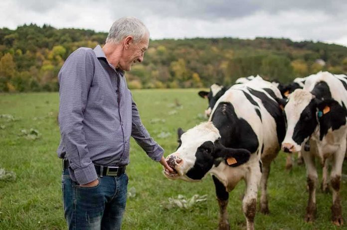 shutterstock_1022452069 Man petting a Holstein cow in a grassy field