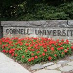 Cornell Frat Case Roars Back To Life Cornell University stone sign with red flowers