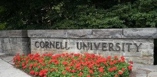 Cornell University stone sign with red flowers