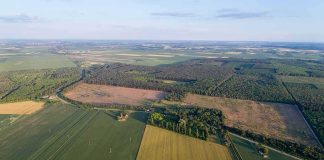 Aerial view of patchwork farmland and forest