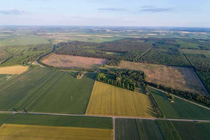 Aerial view of patchwork farmland and forest