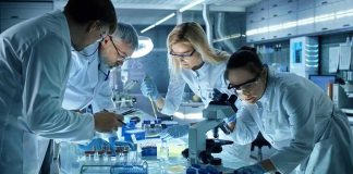 Pain Killer Regrows Cartilage? Scientists collaborating in a laboratory around a microscope